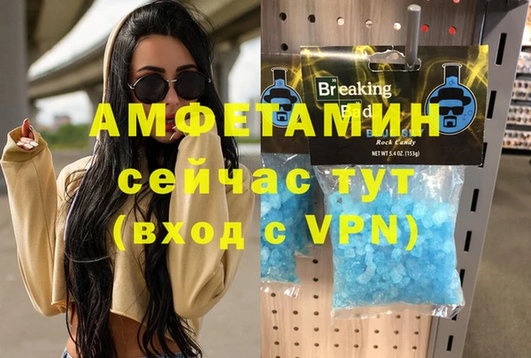 сатива Верея