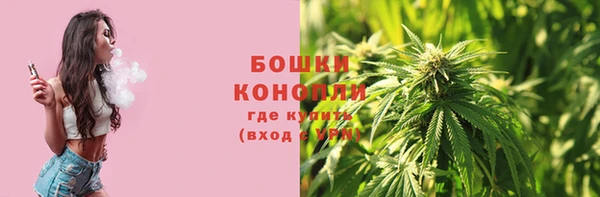 сатива Верея