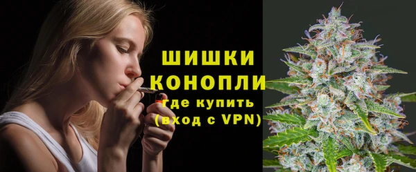 сатива Верея